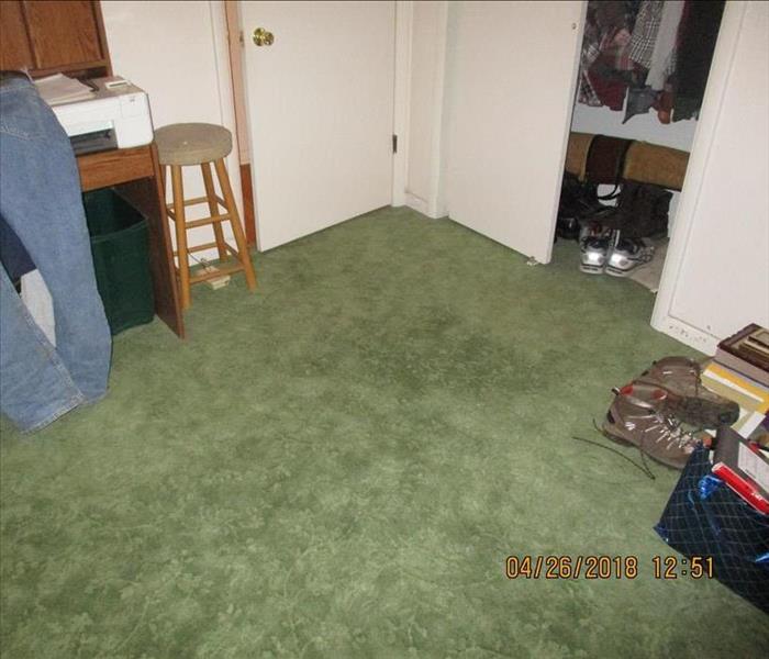A carpet that needed a deep clean 